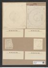 Hyalodiscus subtilis Bail. (de-Toni-Nr.: Genus 219, Species 5494) Zeichnungen Sammlung Grunow Nr. 9428 (NHMW-BOT-W0379282)